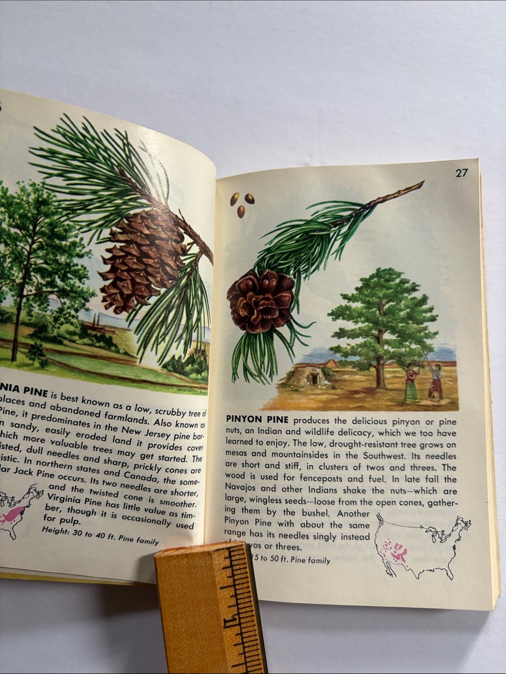 Compact field guide - Picture 4 of 8